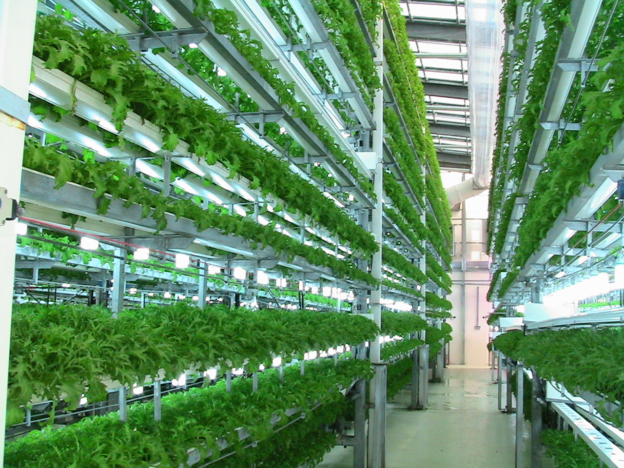 Vertical Hydroponic Farming Systems